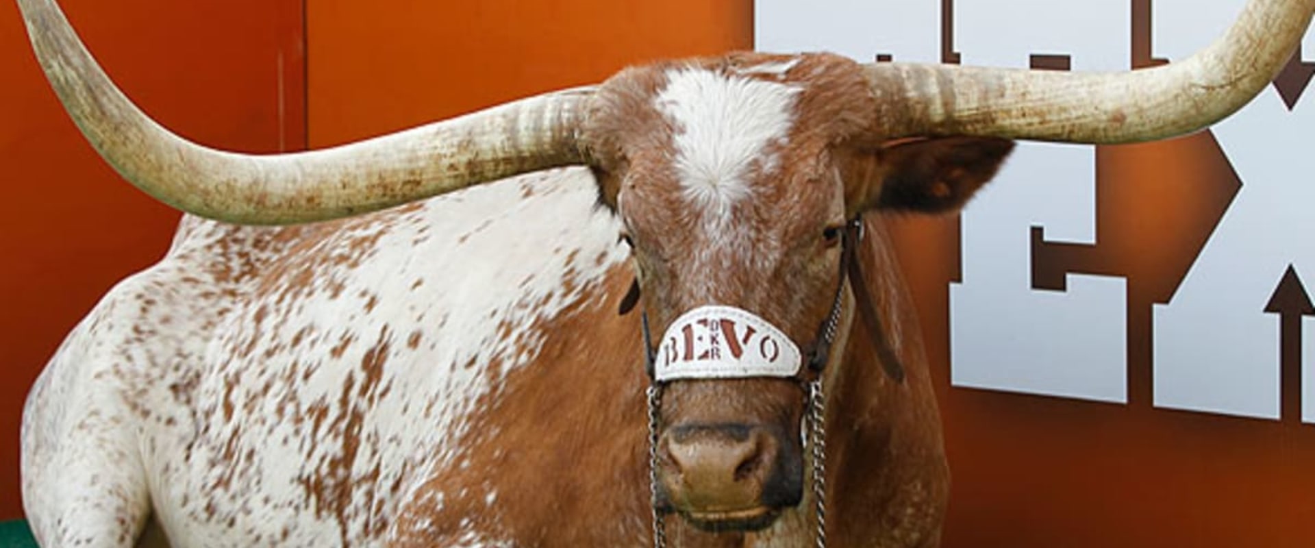 The Winning Schemes and Strategies of Mack Brown: A Look into the Current State of Texas Longhorns Football