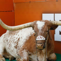 The Winning Schemes and Strategies of Mack Brown: A Look into the Current State of Texas Longhorns Football