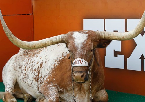 The Winning Schemes and Strategies of Mack Brown: A Look into the Current State of Texas Longhorns Football